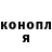 ГАШ гашик Rada Kott