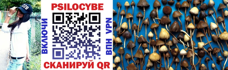 Псилоцибиновые грибы Cubensis  Купить  Лосино-Петровский 